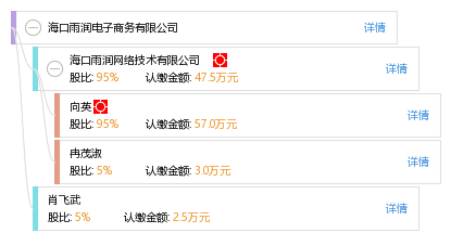 海口雨润电子商务 一家海口网络技术企业的创新实践