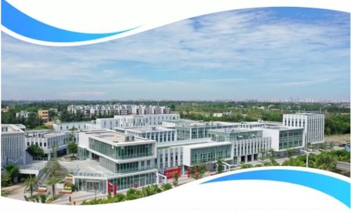 探访海口江东新区企业港 年底计划引入企业破百家，打造自贸港发展新引擎